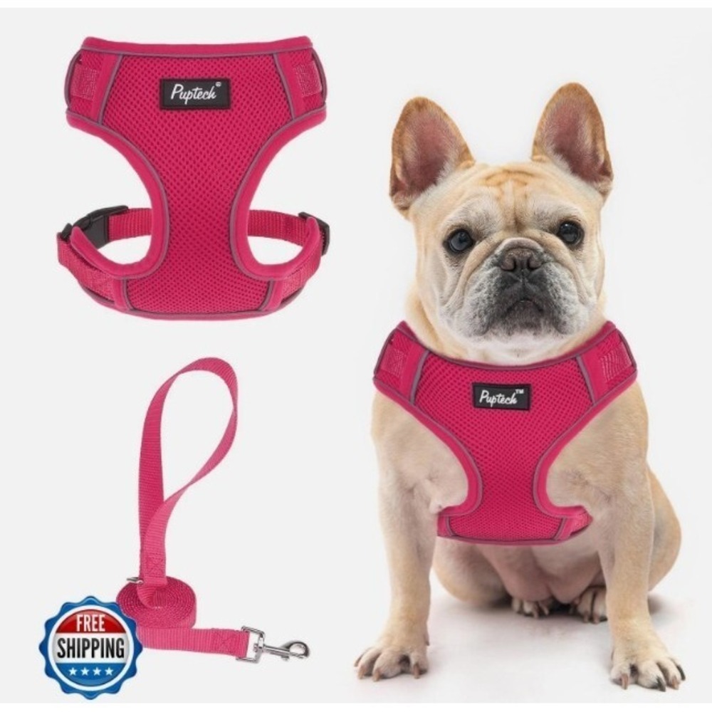 Harness and Leash Set for Small Cats & Dogs PUPTECK - Hot Pink #174